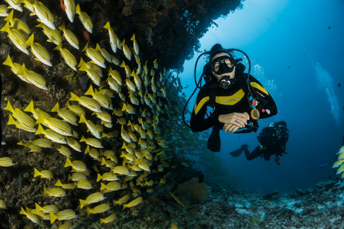 Red Sea Coastal Journey